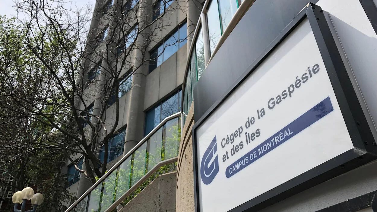 Cégep de Gaspésie 2020 - Campus de Montréal